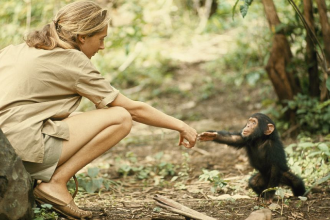 Jane Goodall at Arizona Federal Theatre