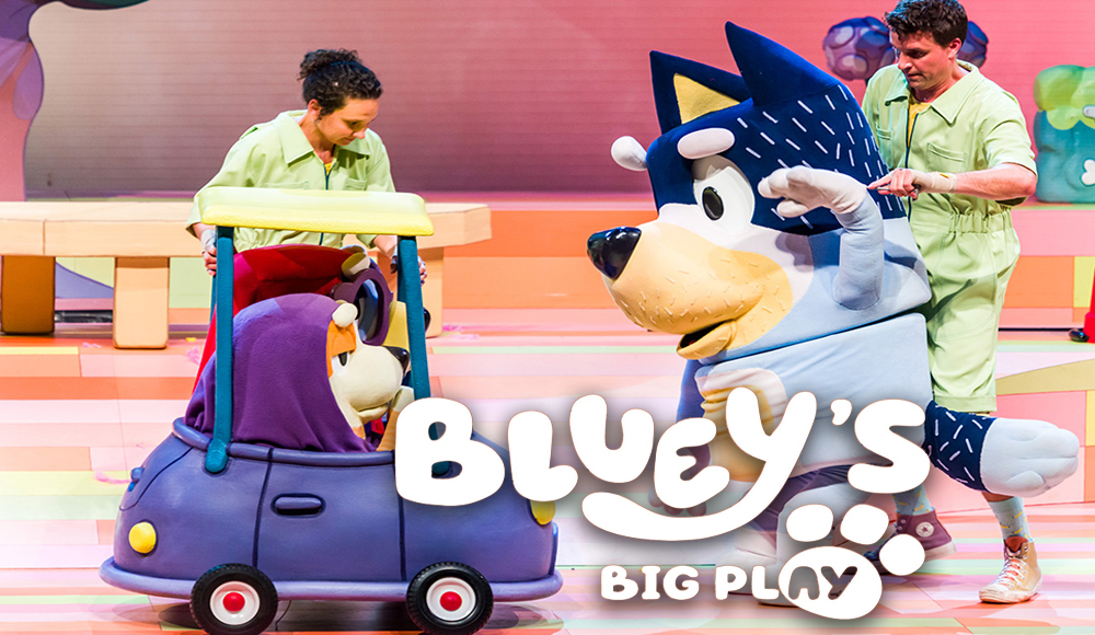 Bluey's Big Play